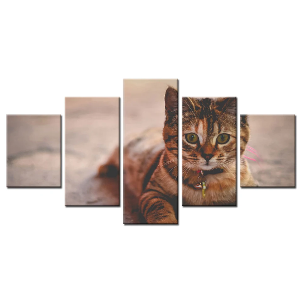 

Modern Canvas Home Decor Painting Artwork 5 Panel Cute Cat Animal HD Printed Modular Poster Framework Living Room