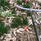 Многофункциональные щипцы для ловли змеи, складной держатель для рептилий из нержавеющей стали