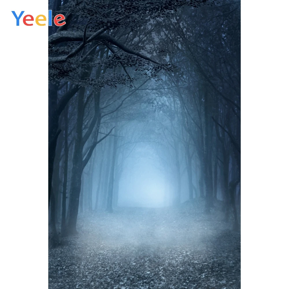 Yeele лес холодный цвет путь молчание фотосъемка фоны персонализированные