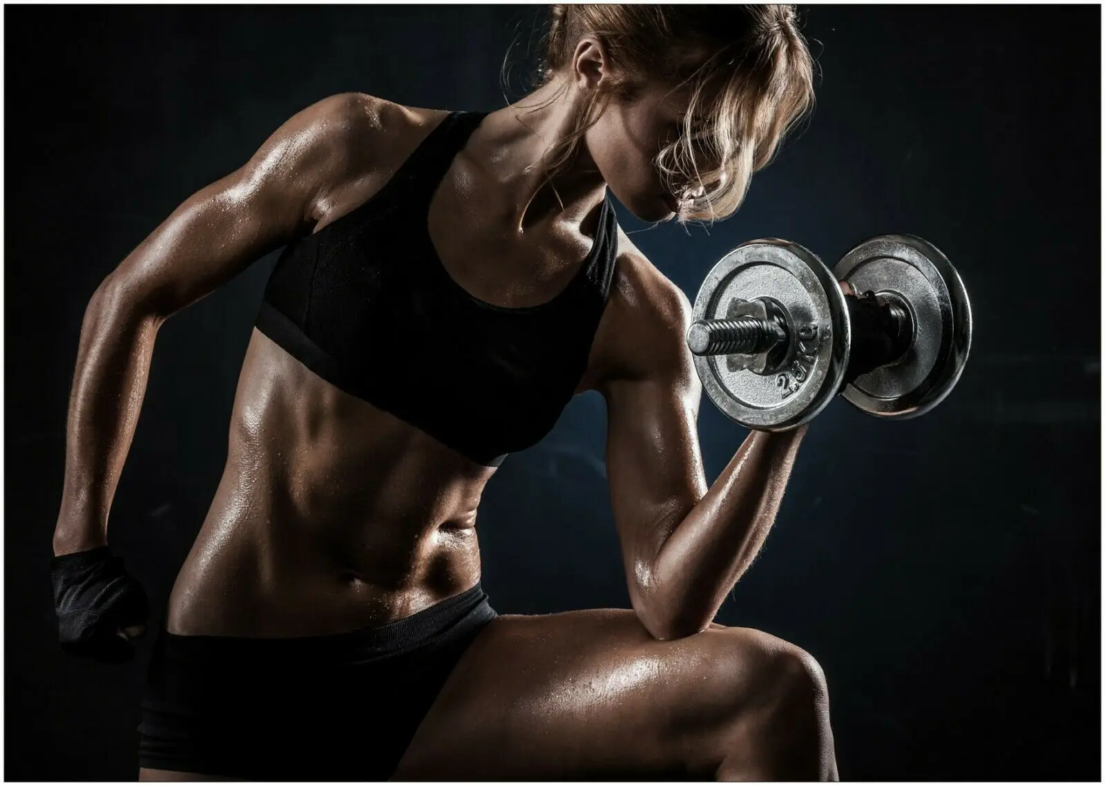

Gym Workout Muscle Sexy Girl Art Home Room Art Wall Silk Print Poster
