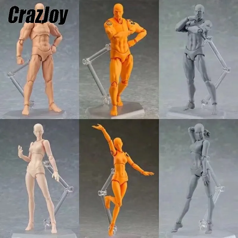 

Anime Figure Movable Figures Draw Sketch Painting Man Toy Body Kun Body Chan Action Figure Collectible Model Toys Mannequin Doll