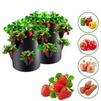 spring strawberry growing bag vegetable planting bag grow pot plant 5710gal grow bag garden terrace multi mouth container bags