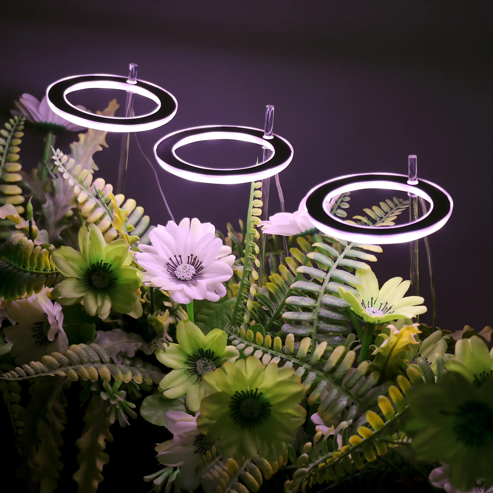 Full Spectrum Lamp Led Grow Light Phyto Lamp For Plants Bulb Growth Light Hydroponics Lighting USB Greenhouse Indoor Flower