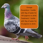 Голуби наклоняют голову, трясут головой, жарят волосы, в них есть зеленые стулья, 100 птицбутылка