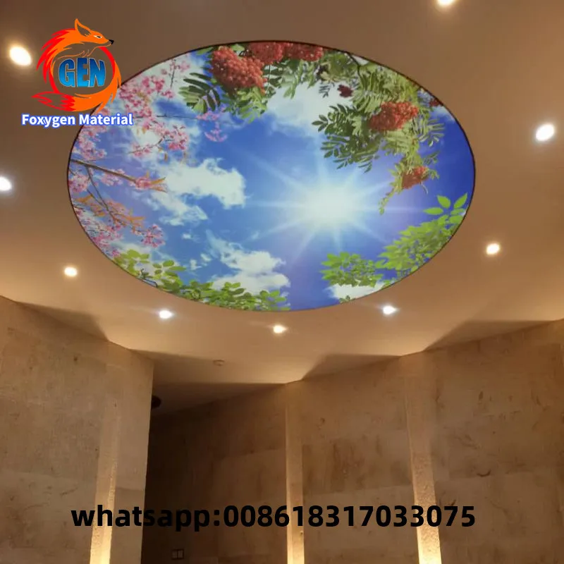 

Decorative pvc decorative hanging ceiling panels stylish stretch ceiling