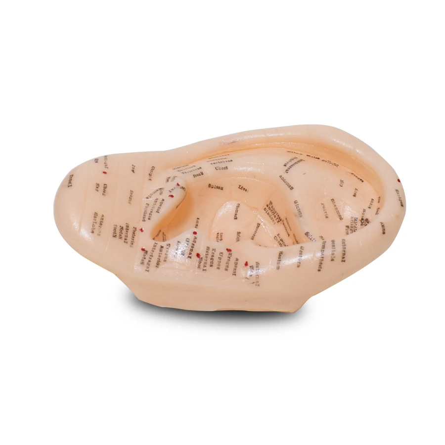 Английская версия ушных акупунктурных наушников Модель аурикулярного