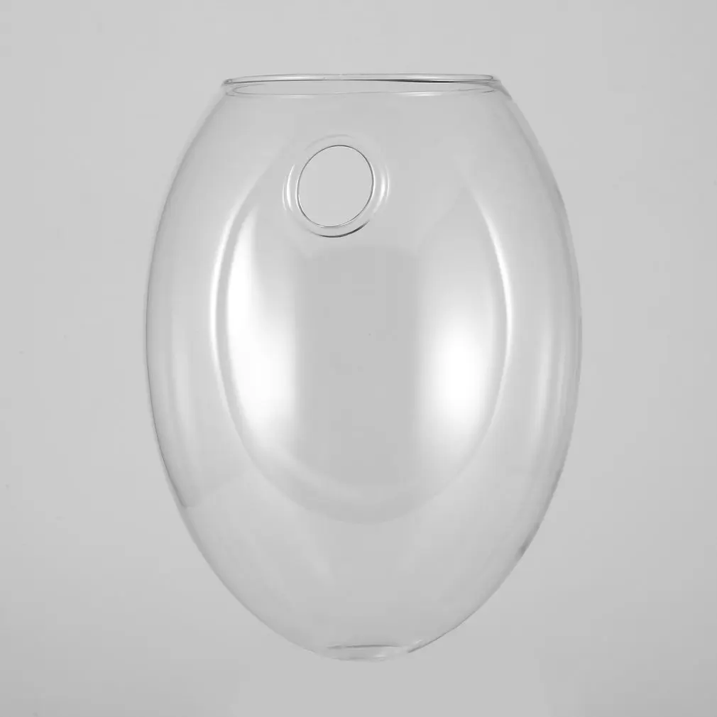 Прозрачная настенная подвесная гидропонная ваза в Форме Яйца динозавра