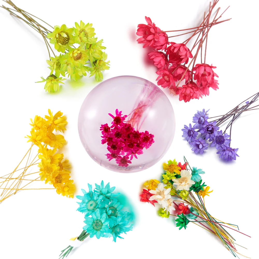 10 шт. бразильский Звездный сухой цветок сделай сам эпоксидные материалы ручной