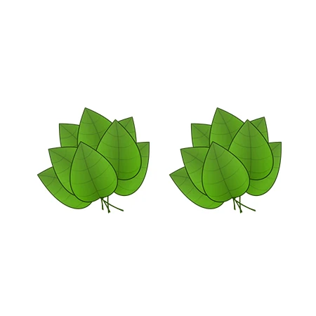 8 Новые Monstera листья акриловые серьги ананас фруктовый сок арбуз банан серьги гвоздики летние праздничные эпоксидные серьги - Окраска металла: 8
