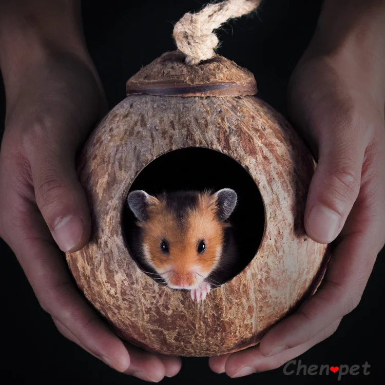 natural small pet coconut cages pet cage for hamster guinea pig mice squirrel wooden house for rat rodent small animal nest free global shipping