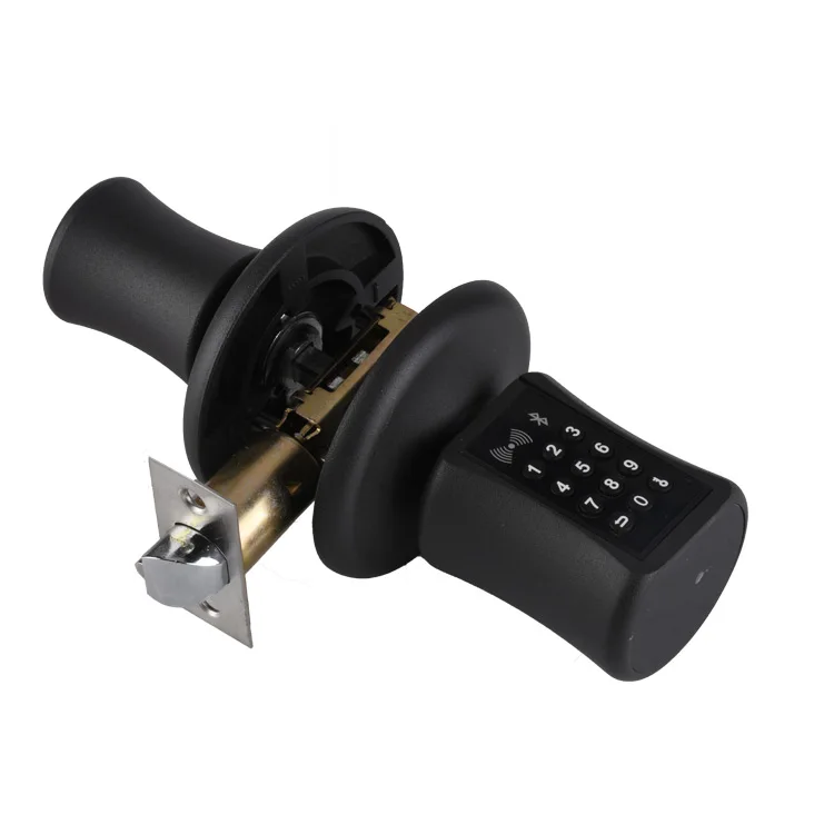 

Security door handle lock keyless entry system smart password card TT LOCK application deadbolt door lock
