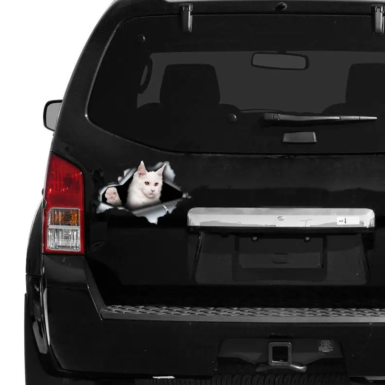 

2021 White Maine Coon car decal, White cat decal, White Maine Coon sticker