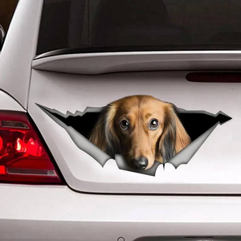 

Red long-haired dachshund decal, pet decal, red dachshund sticker