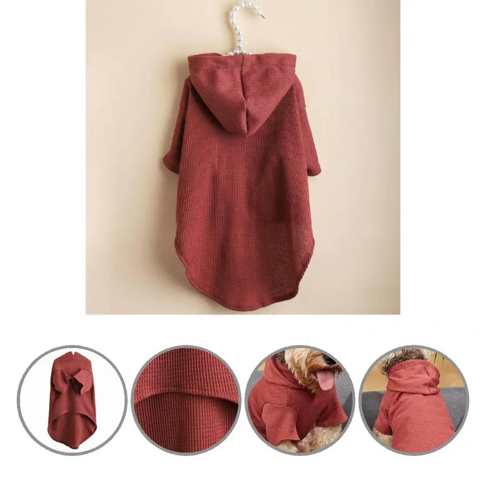 

Fashion Excellent Dog Hooded Sweatshirt Pet Outfit Attractive Pet Sweatshirt Anti-fade for Party