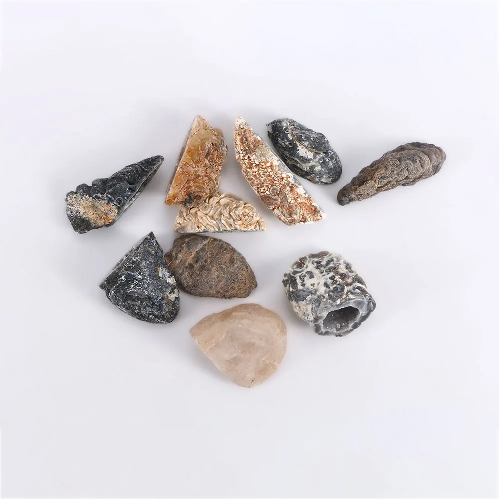 Коллекция агата геодов необработанные камни кусочки натуральных кристаллов