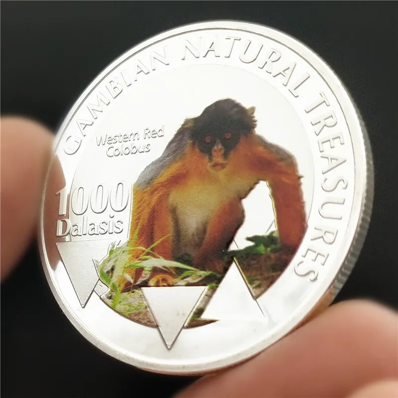 

Gambian Natural Treasures Western Red Colobus Commemorative Coins 1000 Dalasis Republic of Gambia 2015 Painted Silver Specie