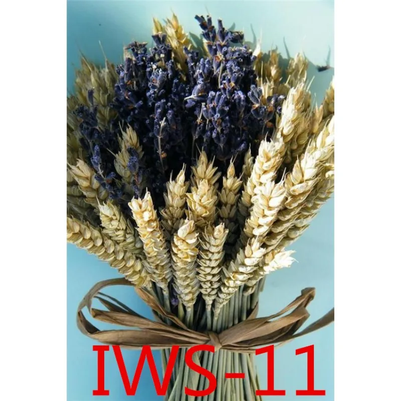 

Weddings and important occasions / Wedding accessories / Bridal bouquets IWS