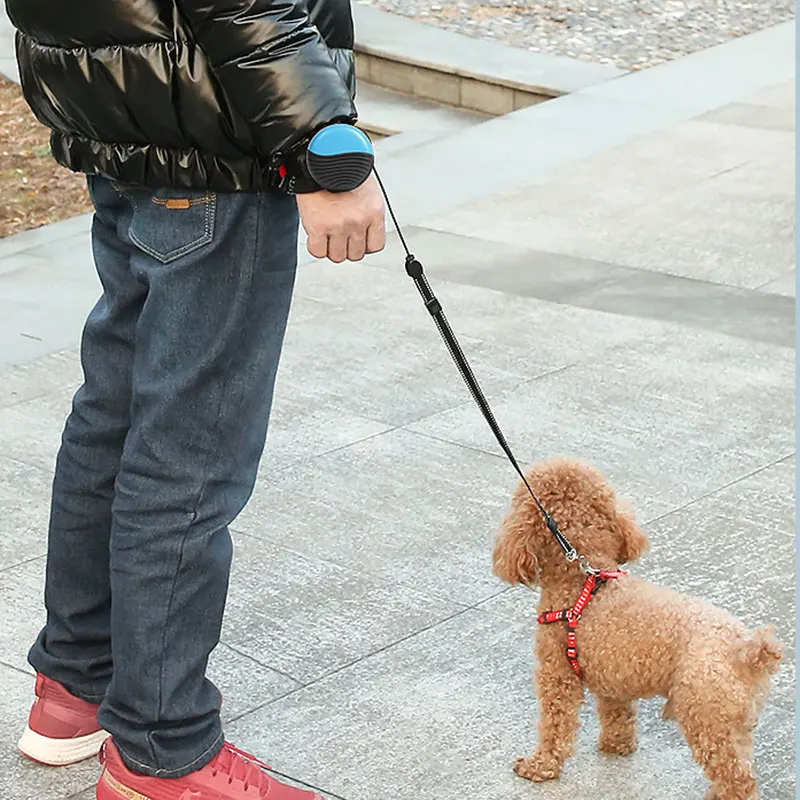 

Pet Products