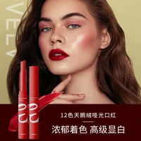 2021 new cheap 12 color non sticky cup color velvet matte matte lipstick makeup wholesale drop shiping