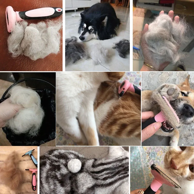 

Combs Dog Hair Remover Cat Brush Grooming Tools Pet Detachable Clipper Attachment Pet Trimmer Combs Supply for Cat Dog
