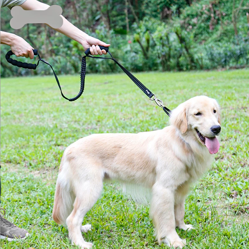 

Pet Dog Flexible Leash Cushioning Explosion-proof Buffering Elastic Rope Control Large Fiercely Strong dog coleira de cachorro