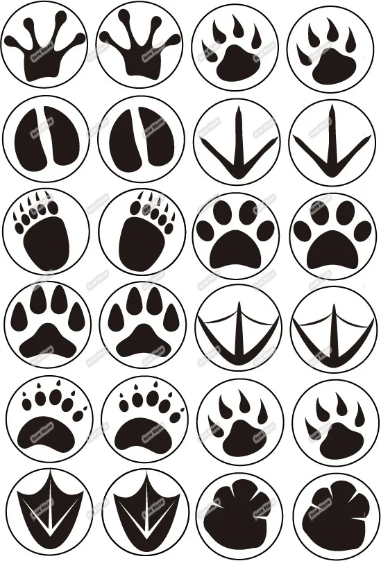 24 животных Paw съедобный торт фигурки жениха и невесты Вафли риса Бумага кекс