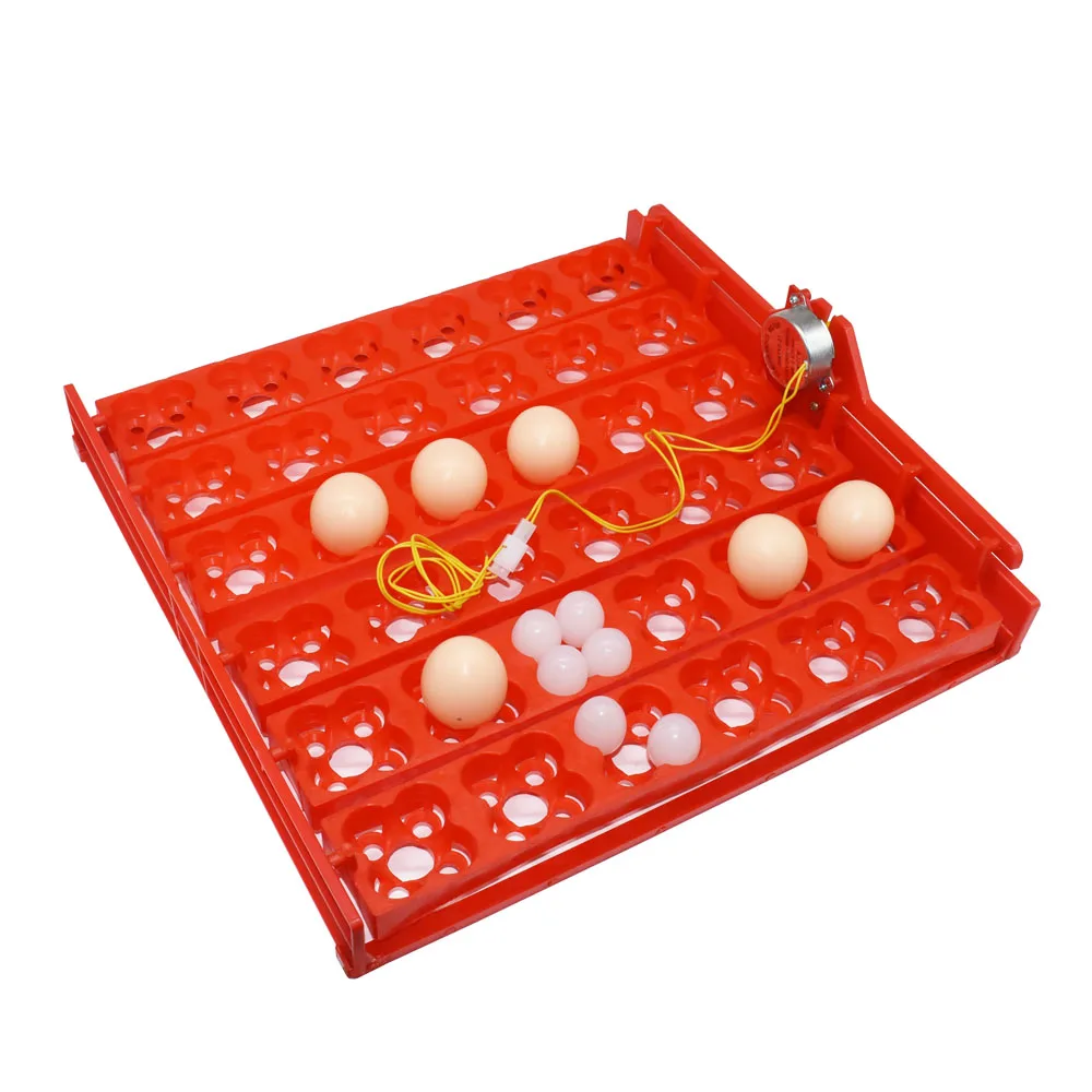 

36 Eggs /144 Bird Eggs Automatic Incubator Incubation Equipment Duck Goose Pigeon Quail The Birds Poultry Incubator Equipment