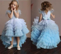 light blue puffy girls dress ball gowns girls princess lace applique feather cap shade blue tiered birthday dresses custom