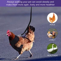 adjustable chicken breast strap traction belt elastic breathable pet breast strap for walking ducks geese and dogs
