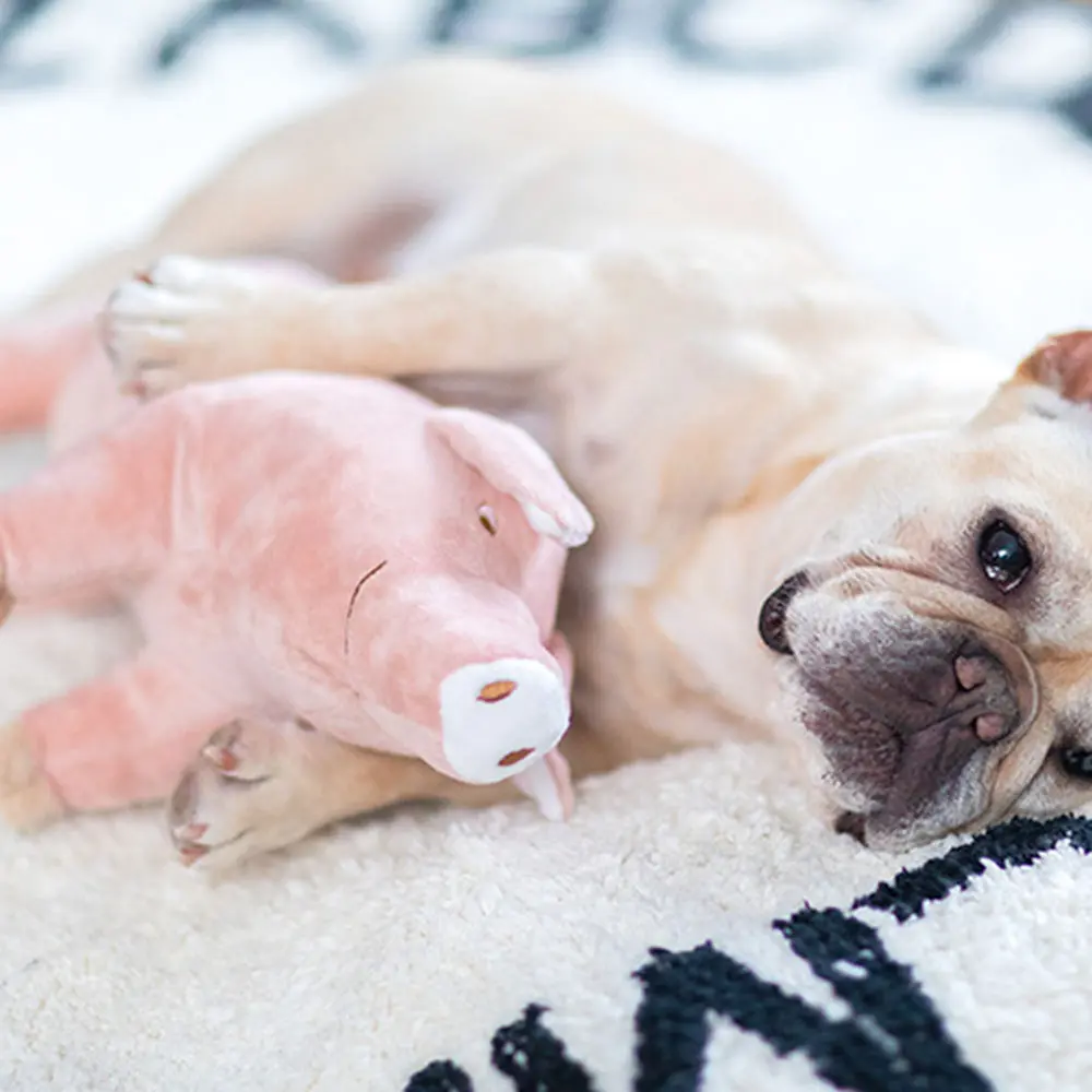 

Animal Pig Super Soft Plush Dog Toy Durable Pet Puppy Chew Toy Cute Fun Comfortable Dog Sleeping Toy