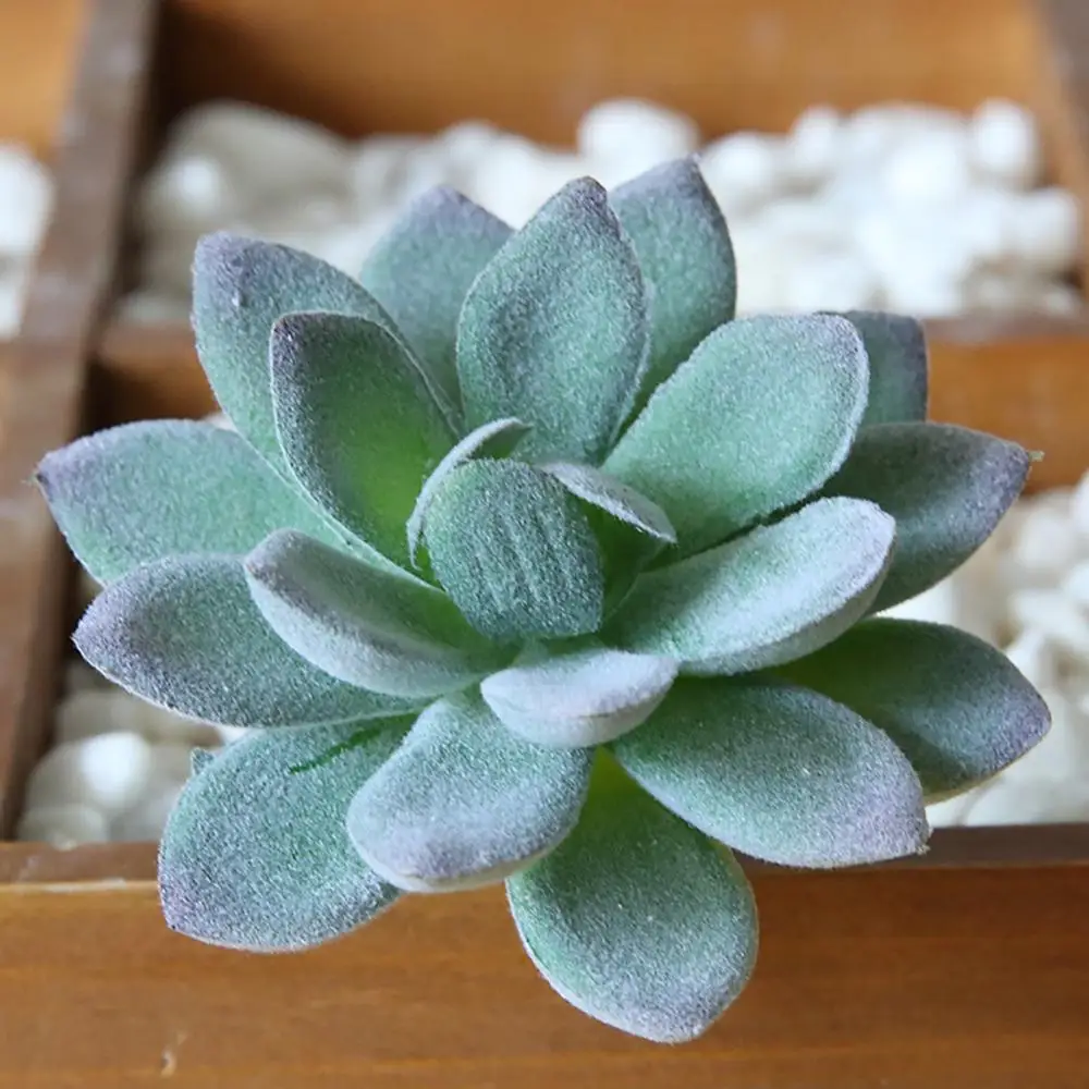 

Green Artificial Succulents Plants for Home Garden Decoration Wedding Plants Wall- Flowers Arrangement Bonsai Fake Plants