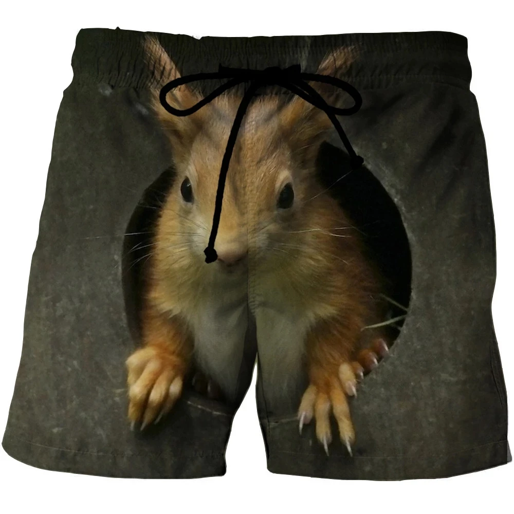 

Animal Graphic Beach Shorts For Men 3D Pattern Squirrel Boardshorts Men/Women Short Pants