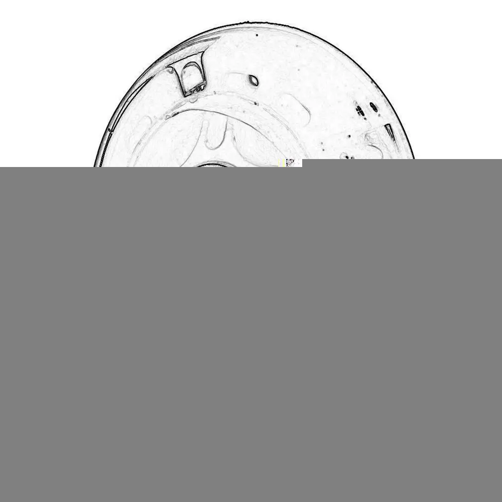 

2020 Hot 80Mm Led Flash Wheel Mini Or Maxi Micro Scooter Flashing Lights Back Rear Abec-7 New Dropshipping