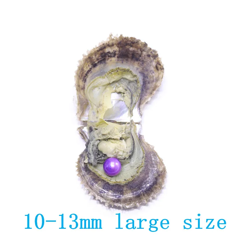 Edsion жемчуг akoya oysters класс AA 10 13 мм 21 Цвет Большой размер нуклеированный круглый в