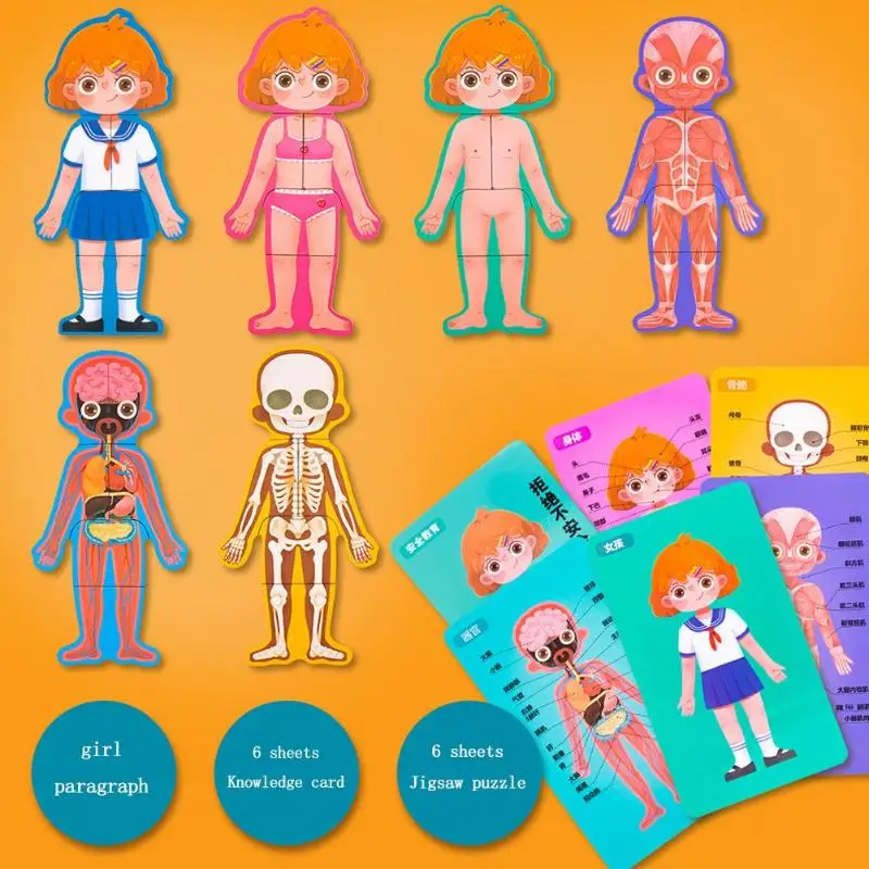 Малыш Boby познание игрушка Монтессори человеческого тела Структура головоломка в