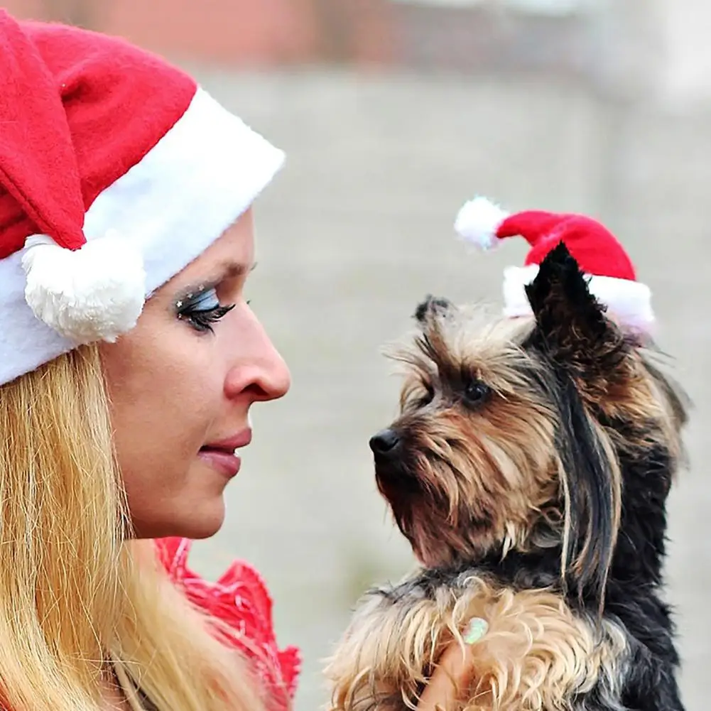 MeterMall Cute Red Plush Santa Hat with White Lace for Pet Dogs Christmas New Year Decoration Cap Wear Ornament | Дом и сад
