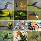 DIY 5D украшением алмазов картина для дома стразы камни в форме ромба сверла вышивка крестиком арт изделие из хрусталя Декор