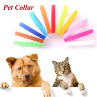dogs collars puppy kitten identification collar bands small dogs cats pet supplies kitten whelping id collar colorful collar