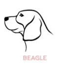 BEAGLE Собака портрет Персонализированные Имя ожерелье Собака ювелирные изделия любимое животное подарок для мамы собаки породы ожерелье PN305 - Окраска металла: BEAGLE