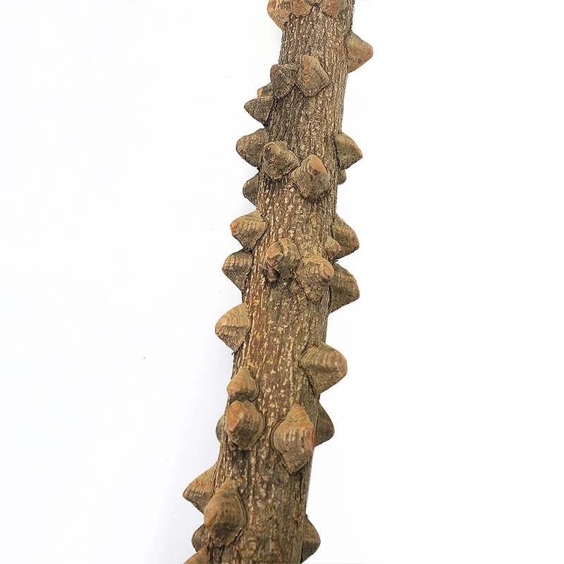 

Bird Perch Nature Wood Prickly Parrot Stand Toy Branch Platform Grinding Stick for Birds Cockatiel Cage Accessory 4PCS