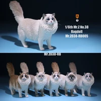 mr z 038 16 scale ragdoll pet cat simulation animal model cute super cute ornaments for 12 action figure scene decoration