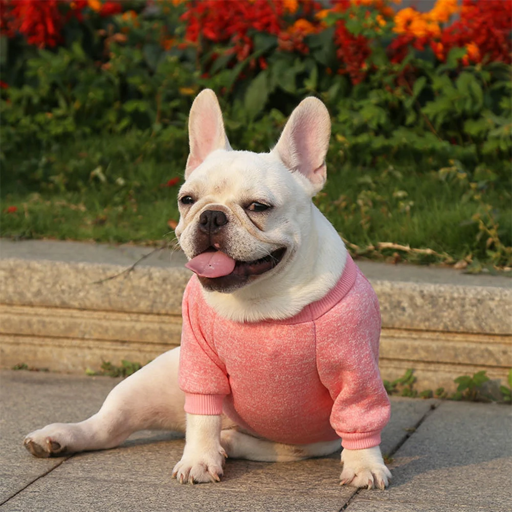 

The new classic sweater environmental protection colorful pet winter coat is soft and warm and easy to clean dog clothes