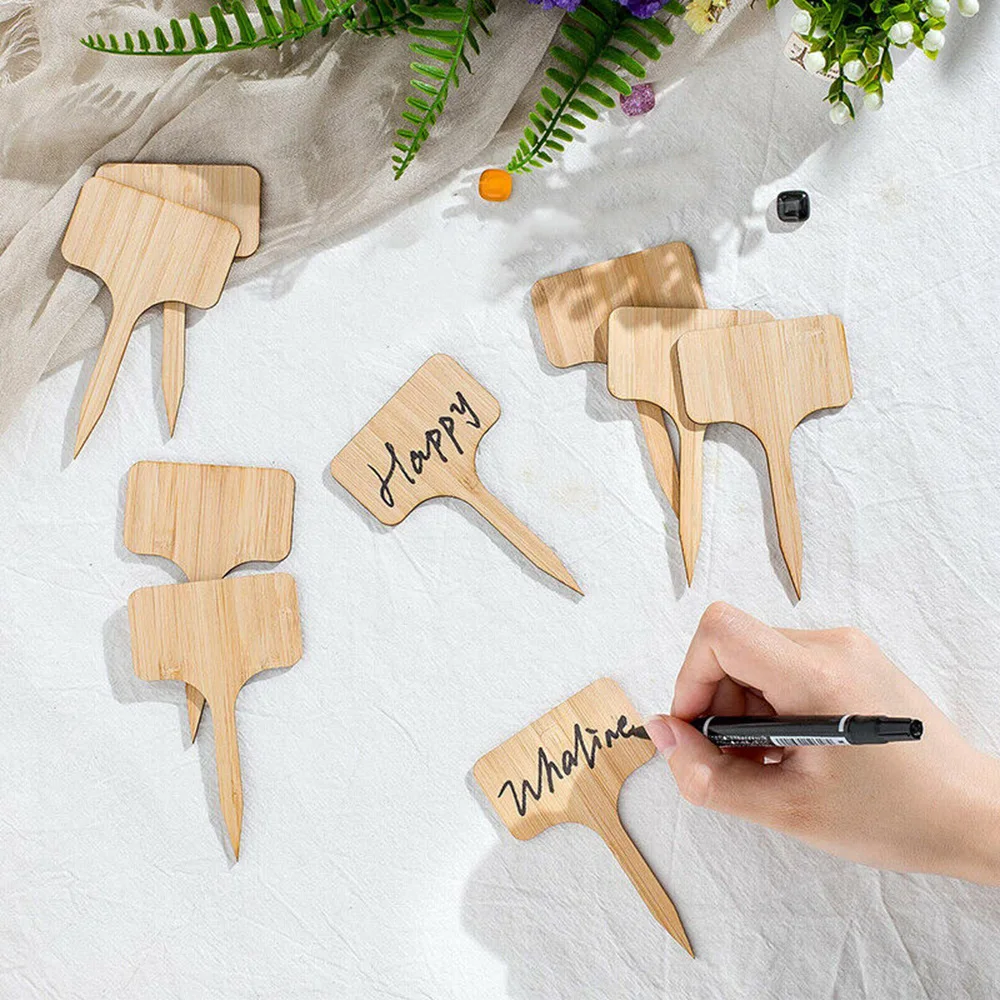 

Name Plant Label Tags 10cm*6cm*0.3cm Accessories Tool Parts Professional
