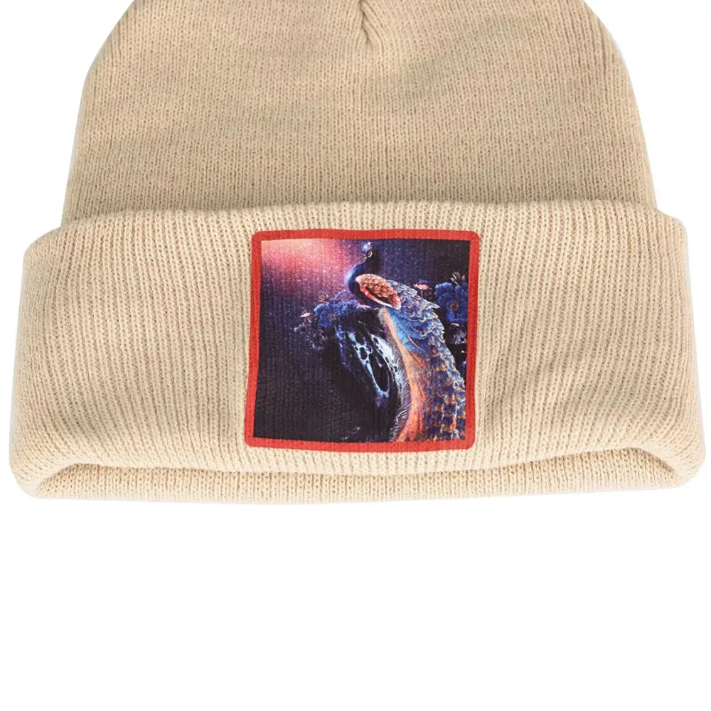 Мужская лыжная шапка Skullies теплая зимняя шапочка с павлином унисекс Толстая дыней