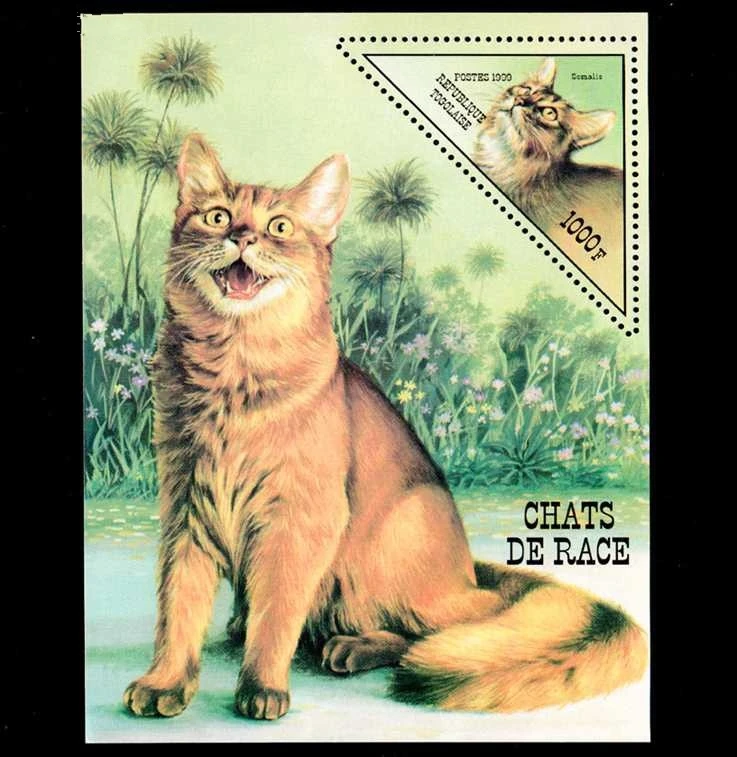 

1 лист, Новая африканская почтовая печать того 1999 Pet Cat, трехугольный сувенир печати на листе MNH