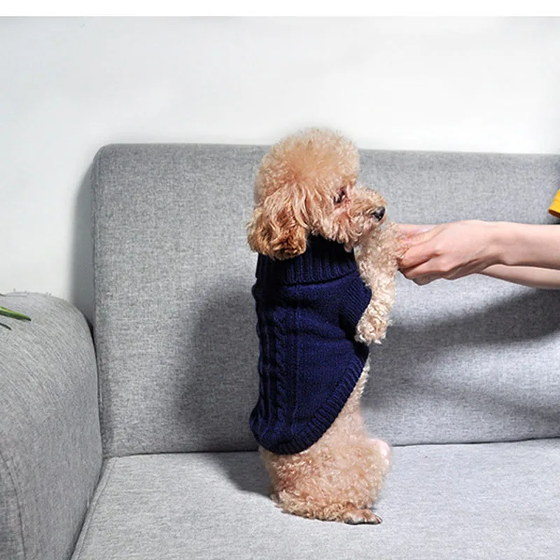 Свитер для питомца на осень и зиму теплая однотонная водолазка с высоким