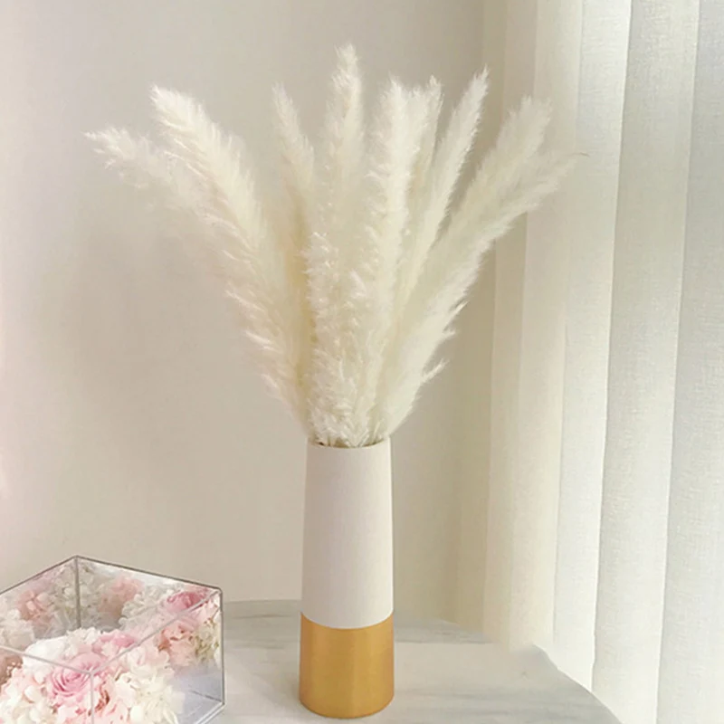 

Bulrush Natural Dried Flowers Artificial Plants Branch Colorful INS Pampas Grass Phragmites Fake Flower Wedding Home Decoration
