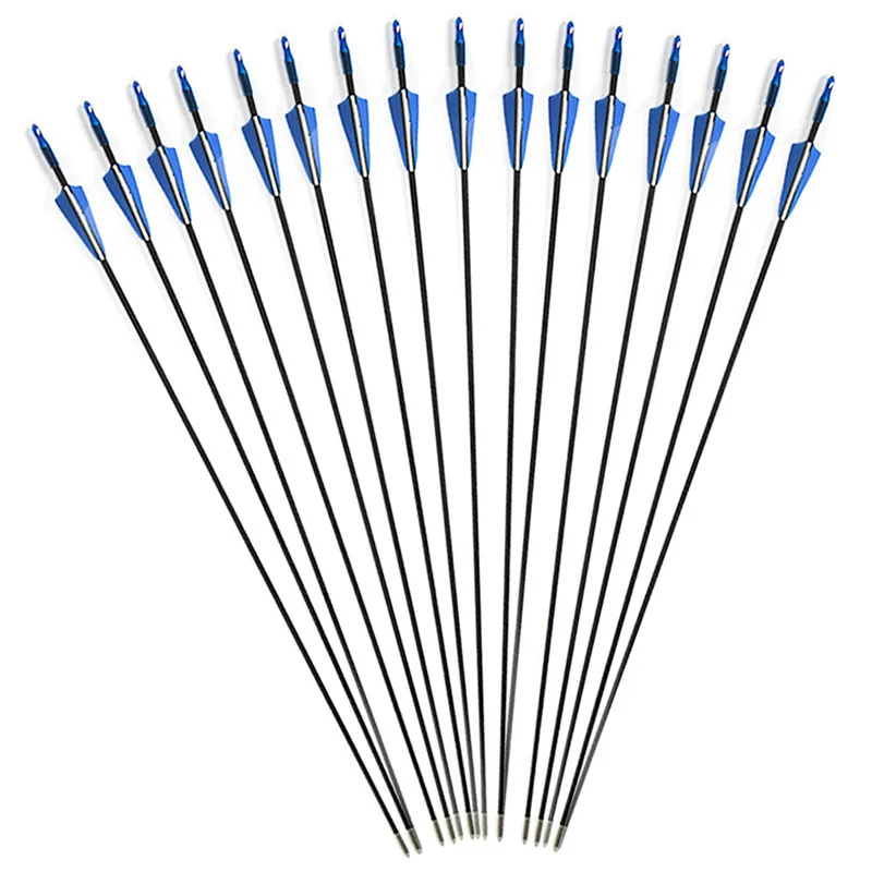 

12pcs 31.5Inch Archery Fiberglass Arrows with Blue White Feather for Recurve/Compound Bow Outdoor Shooting Hunting Accessories