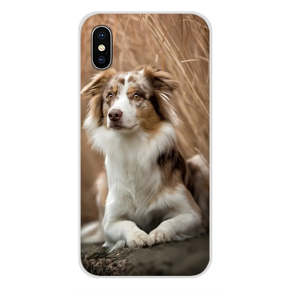 Аксессуары для телефонов Samsung Galaxy S2 S3 S4 S5 Mini S6 S7 Edge S8 S9 S10E Lite Plus|Бамперы| |
