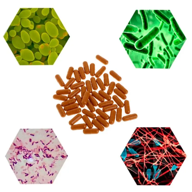 

Nitrifying Bacteria Capsule Aquarium Fish Tank Super Concentrated Capsules Water Quality Purifier Supplies for freshwater 32CC